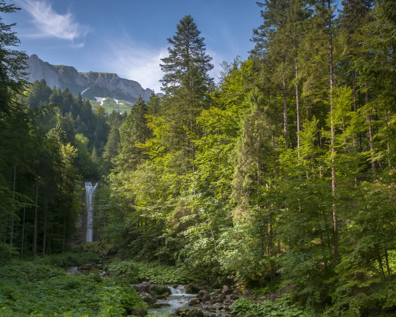 трава, водопад leuenfal, небо, горы, деревья, камни, альпы