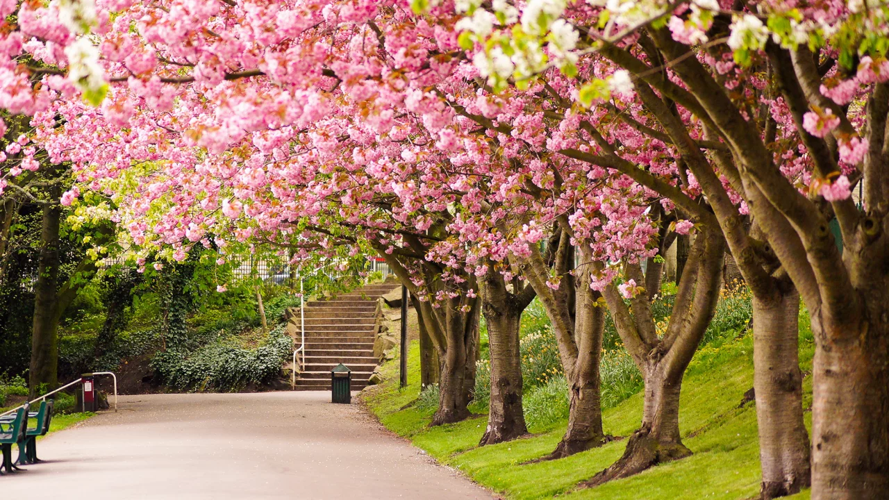 great britain, sheffield, шеффилд, англия, великобритания, england