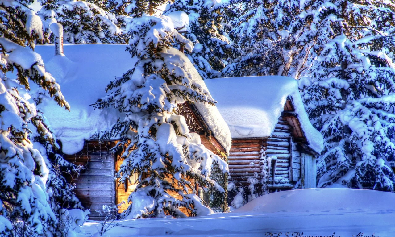 аляска, зима, природа, хижины, лес, снег, ели