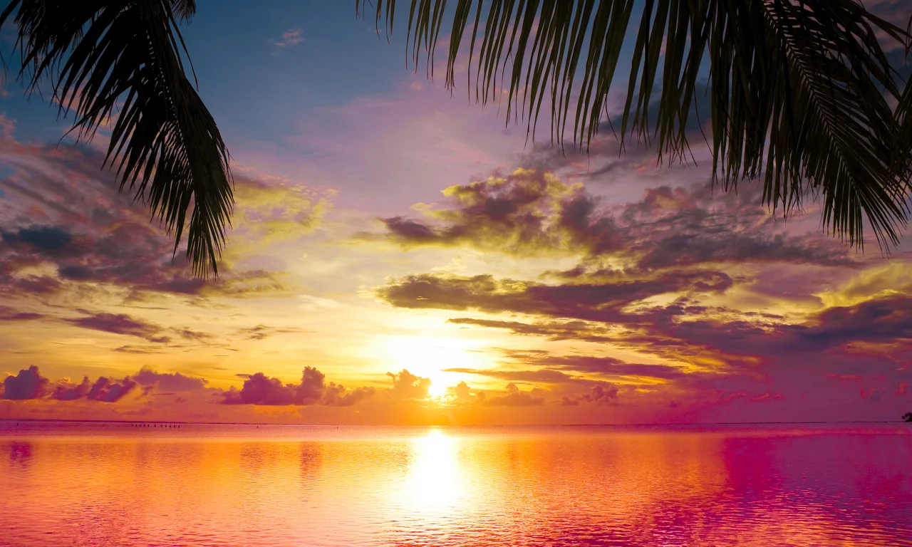 scene, water, landscape, sea, nature, clouds, sunset between palms, sky, beautiful