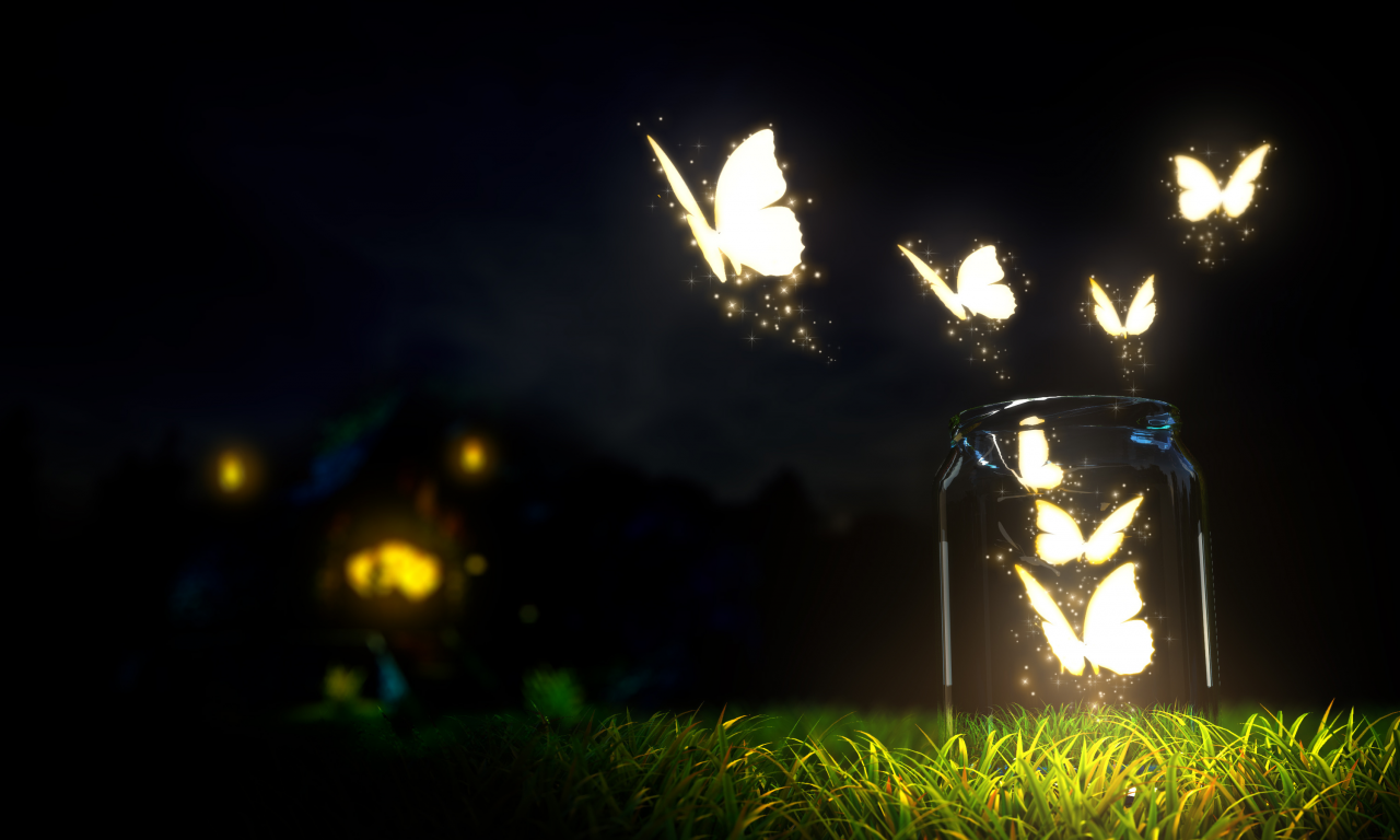 macro, grass, ground, bottle, blur, dark sky, night, glowing, butterflies, nature, beautiful