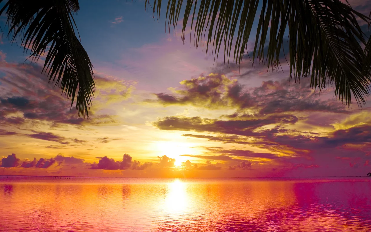scene, water, landscape, sea, nature, clouds, sunset between palms, sky, beautiful