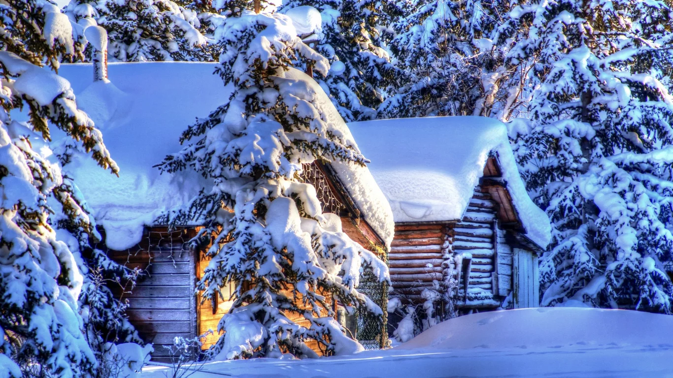 аляска, зима, природа, хижины, лес, снег, ели