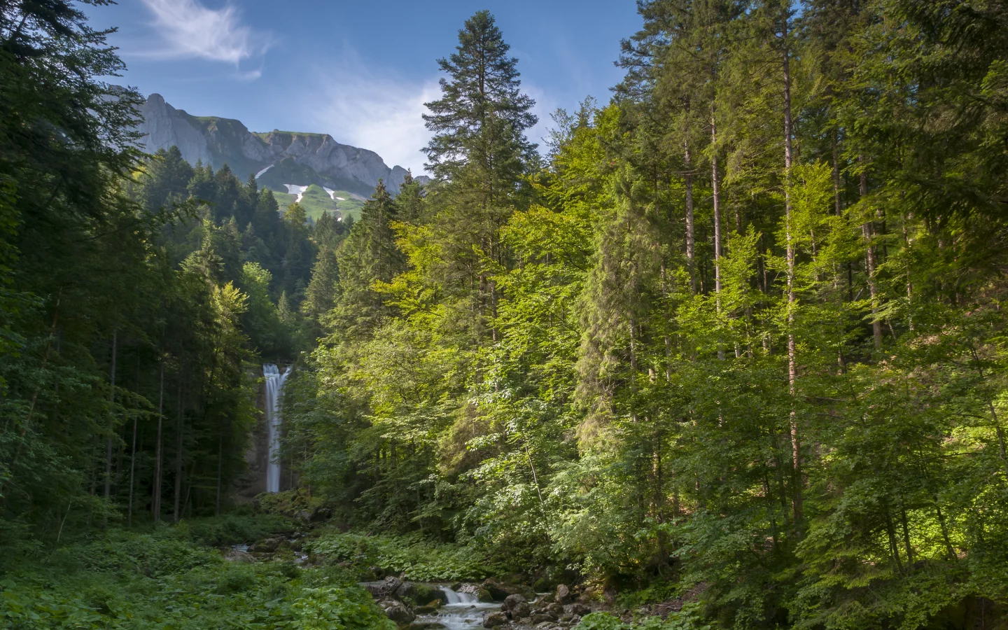 трава, водопад leuenfal, небо, горы, деревья, камни, альпы