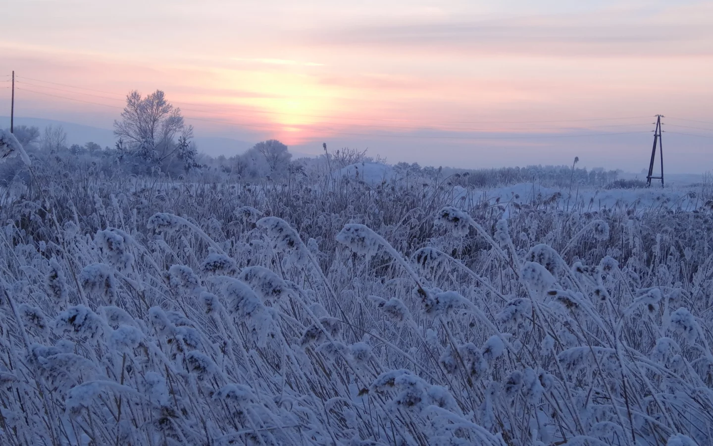 пейзаж, зима, снег, вечер, сумерки, трава, деревья