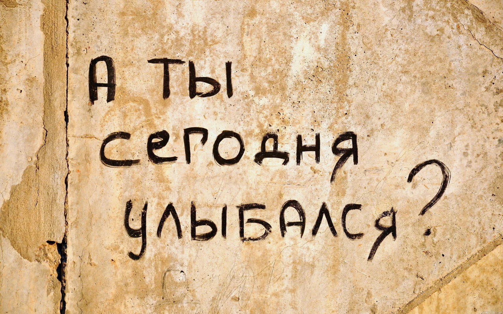 обои, для всех, пользователей, сайта