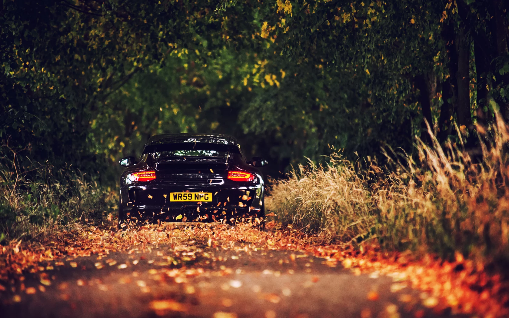 porsche, чёрная, дорога, листва, gt3