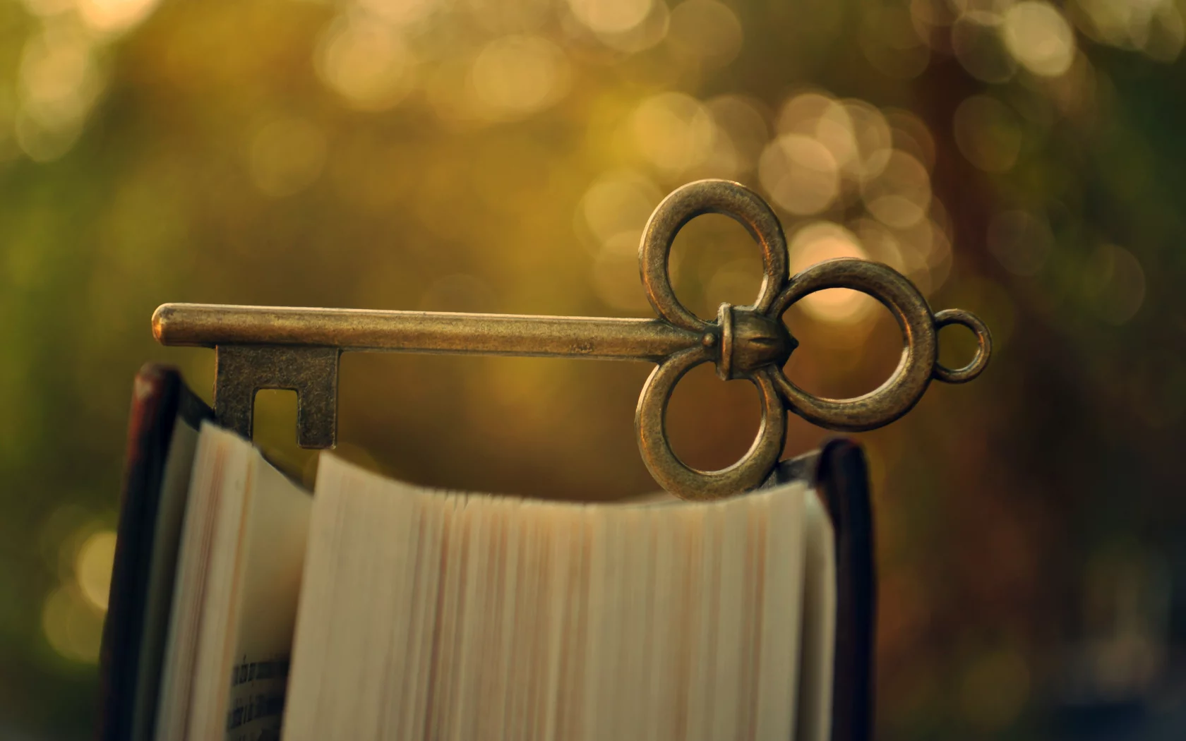 металлический, ключ, книга, боке