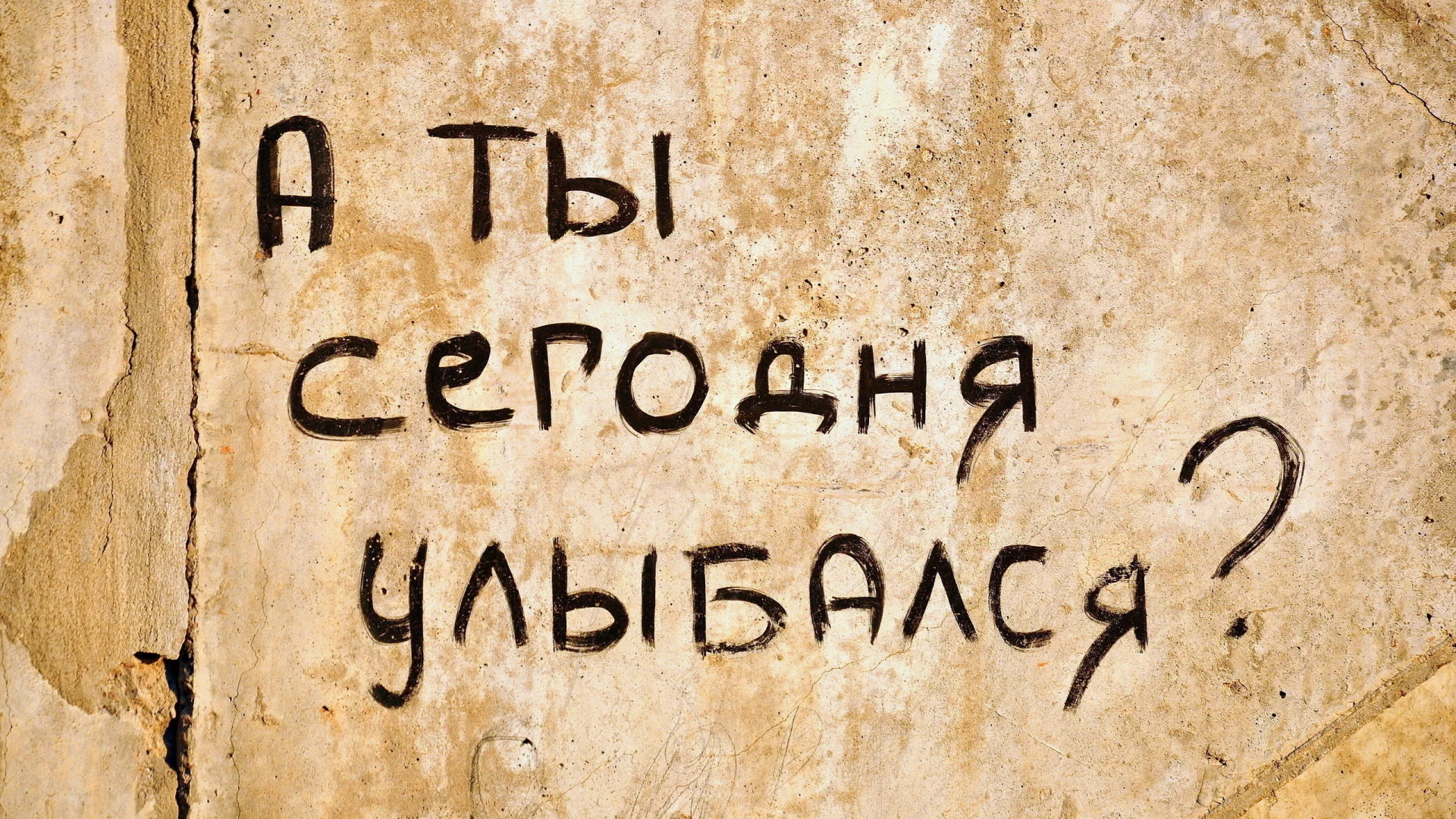 обои, для всех, пользователей, сайта