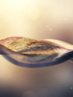 форма, фон, цвета, волнистая