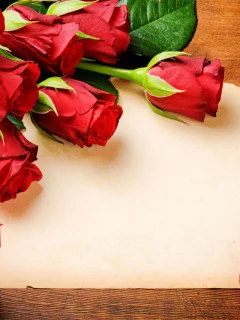 свечи, розы, красные розы, цветы
