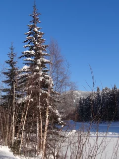 зима, горная дорога, снег, пейзаж, река под снегом