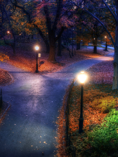 парк, фонари, лес, аллея, осень, листва, вечер, деревья