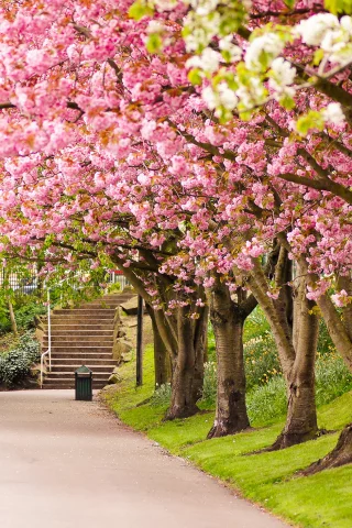 great britain, sheffield, шеффилд, англия, великобритания, england