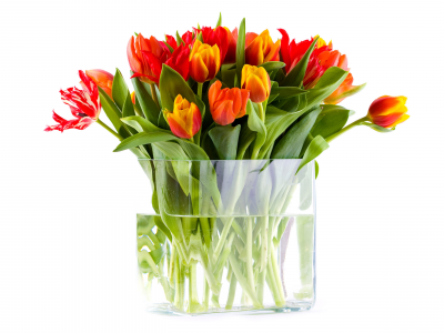 цветы, вода, ваза, букет, тюльпаны