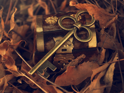опавшие, металл, ключ, листья, осень, шкатулка