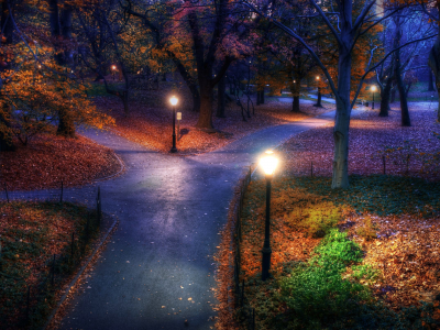 парк, фонари, лес, аллея, осень, листва, вечер, деревья