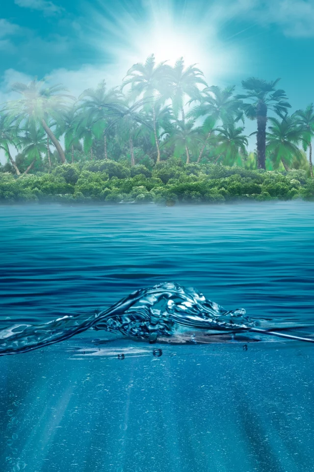 sea, nature, island , trees, lonely, water, landscape, palms, один, alone, beautiful, ocean