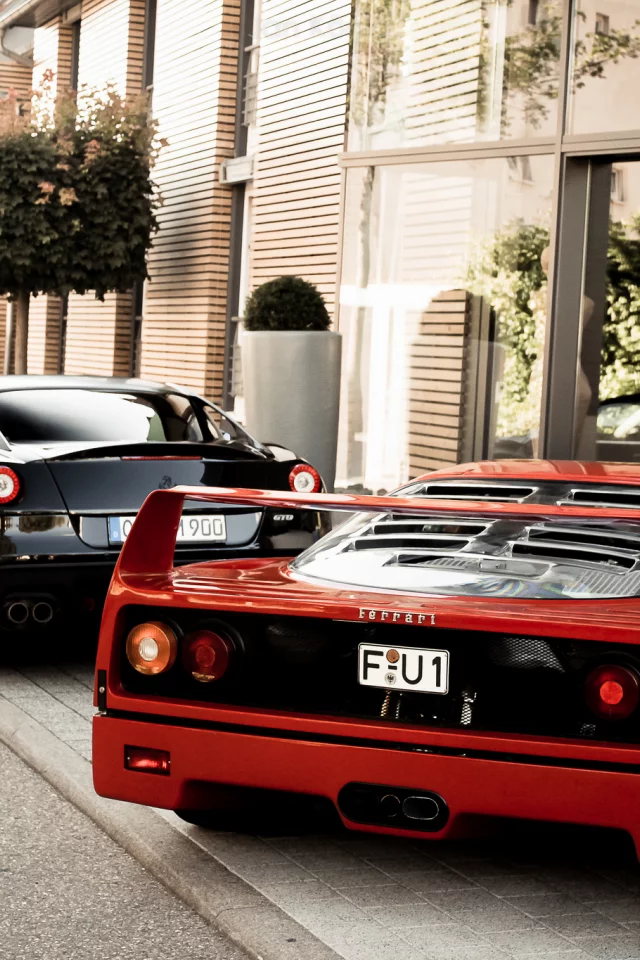 гто, black, 599, f40, 599, феррари, building, red, ferrari, back, gto, tree, ф40