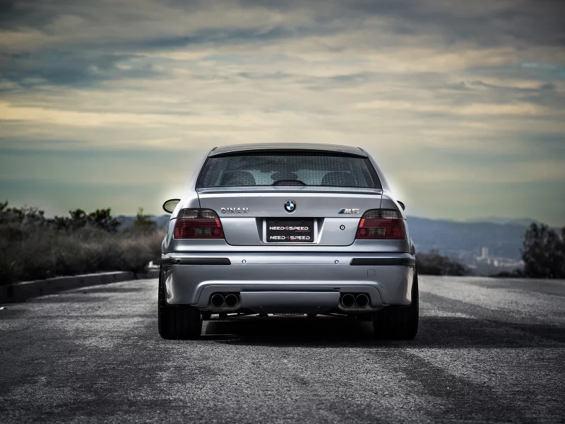 тень, голубой, деревья, m5, bmw, задок, дорога, e39, бмв, blue