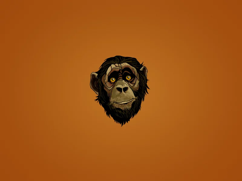 голова, лицо, monkey, взгляд, обезьяна, морда