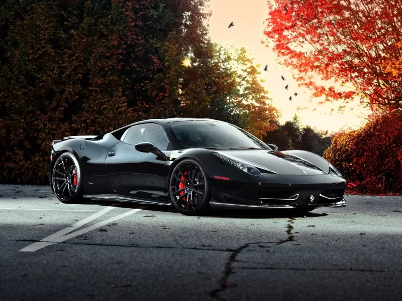 феррари, ferrari, black, sky, италия, trees, birds, чёрный, 458 italia, autumn