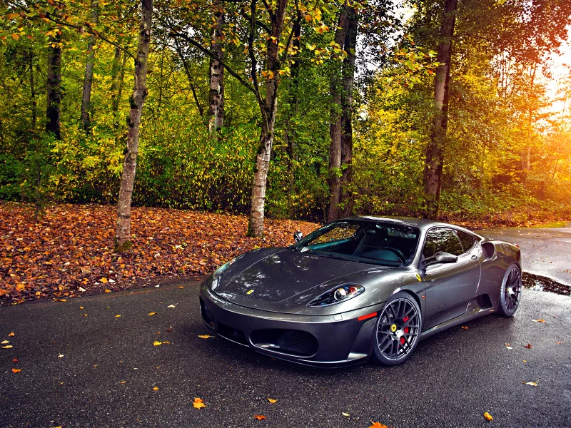 430, silver, tuning, autumn, asphalt, green, sun, trees, ferrari, wheels, leaf
