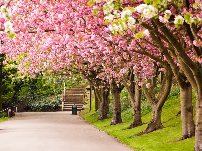 great britain, sheffield, шеффилд, англия, великобритания, england