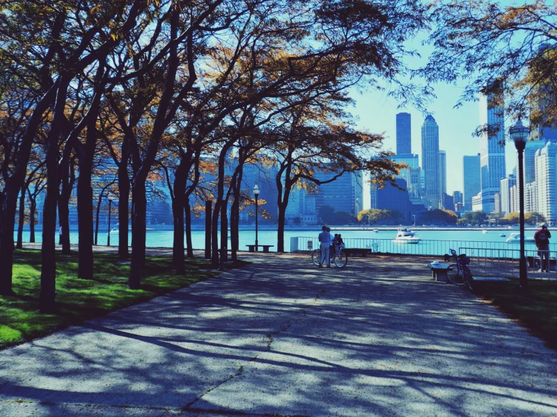 chicago, чикаго, осень, парк, небоскребы, люди