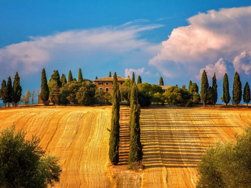 tuscany, деревья, sienna, тоскана, сиена, италия, кипарисы, italy