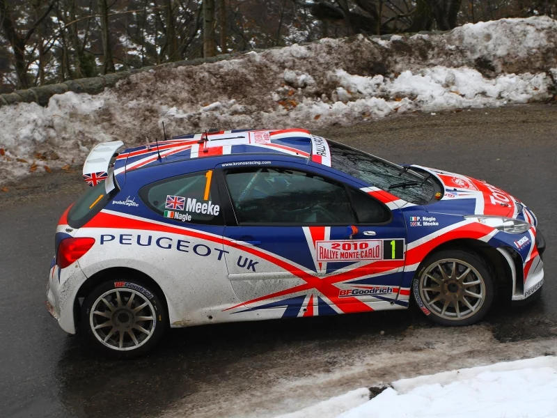 peugeot, вид сбоку, ралли, машина, s2000, wrc, 207, винил, rally
