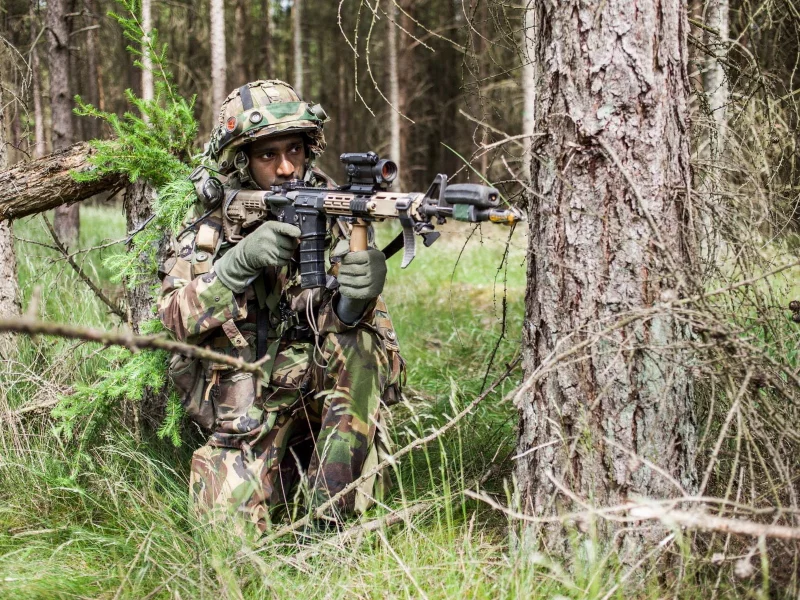 оружие, солдат, royal netherlands army