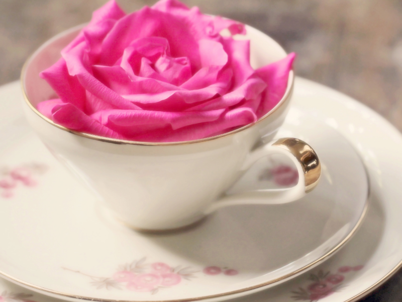 цветы, розовая, кружка, чашка, роза, настроения