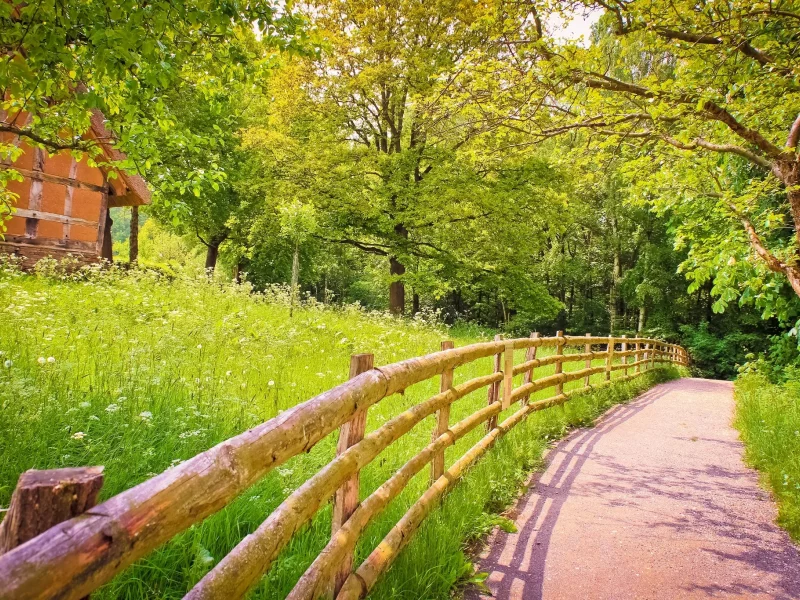 тень, деревья, зелень, деревянный, забор, трава, дорога
