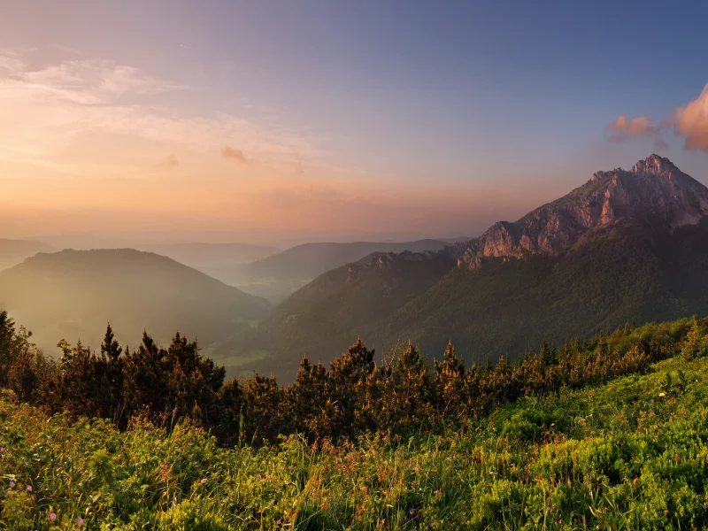 горы, лес, облака, трава