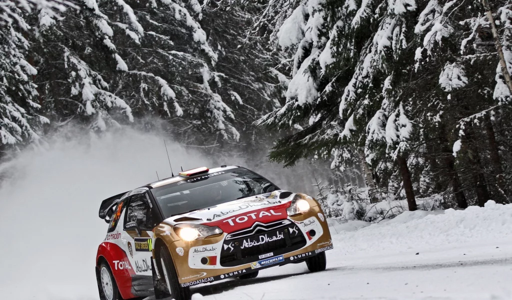 citroen, передок, фары, лес, снег, елки, wrc, ds3, rally, зима