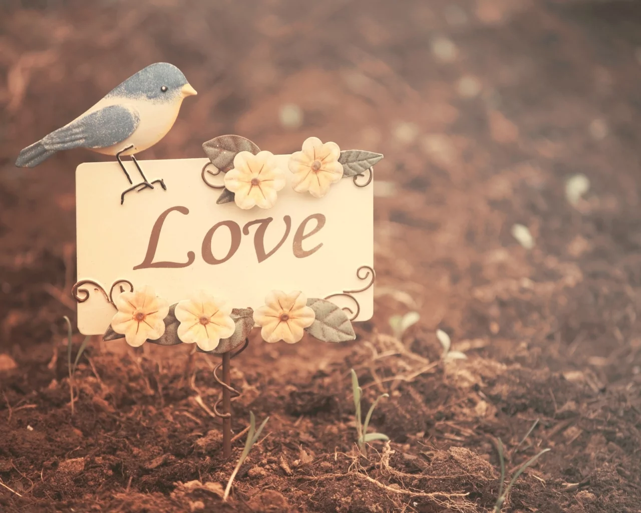 настроения, лююовь, природа, листья, love, птичка, птица