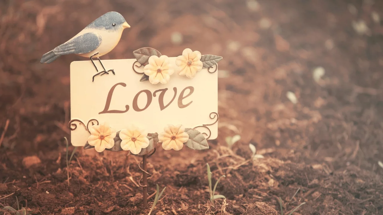 настроения, лююовь, природа, листья, love, птичка, птица