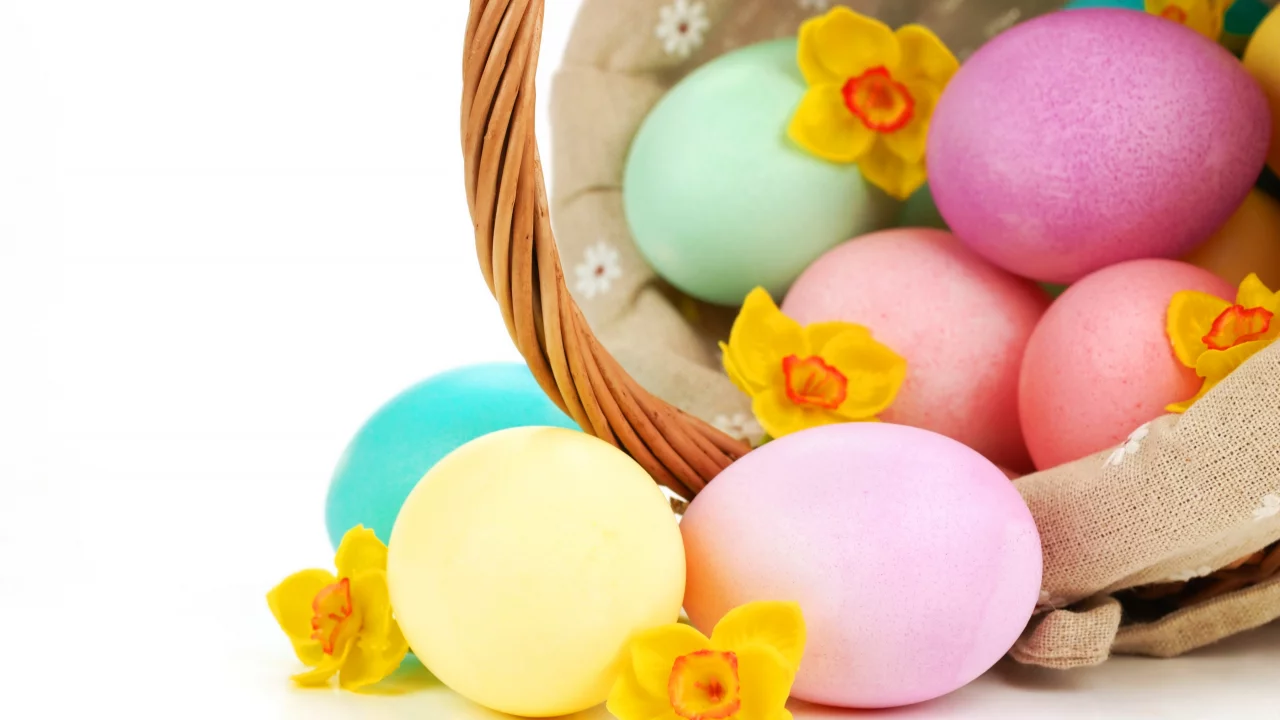 пасха, нарциссы, яйца, easter