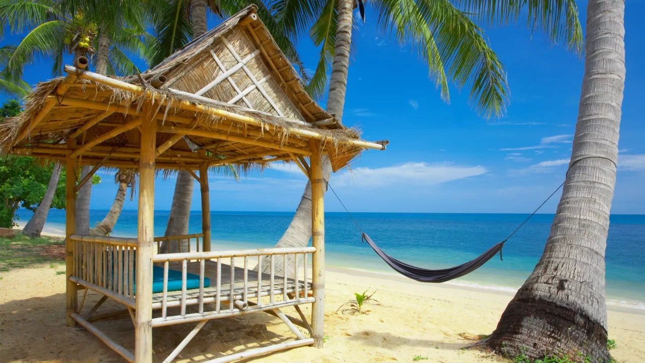 palm trees, the sea, the sky, пляж, небо, the beach, гамак, пальмы, море