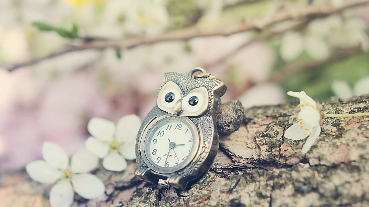nature, devianart, oil, time of lovely flowers, silvermoonswan