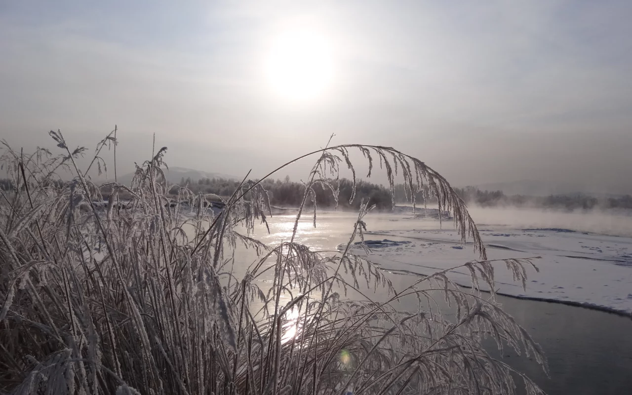 утро, река, замерзает, пар, трава, снег, сибирь