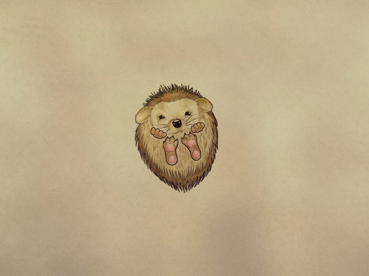ежик, минимализм, еж, hedgehog