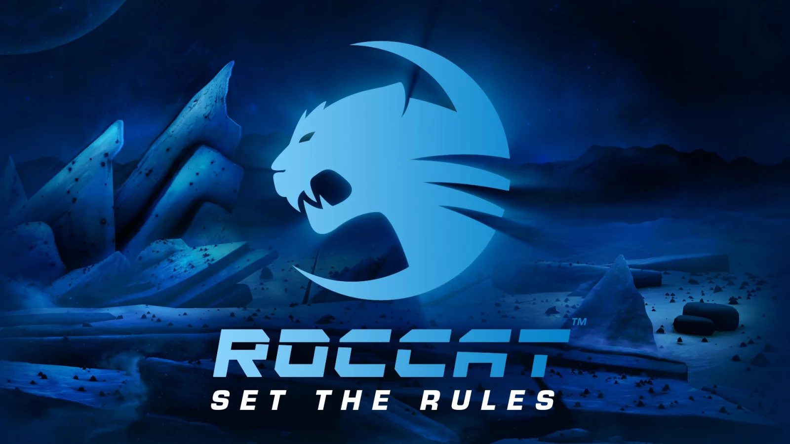 roccat, wallpaper, логотип
