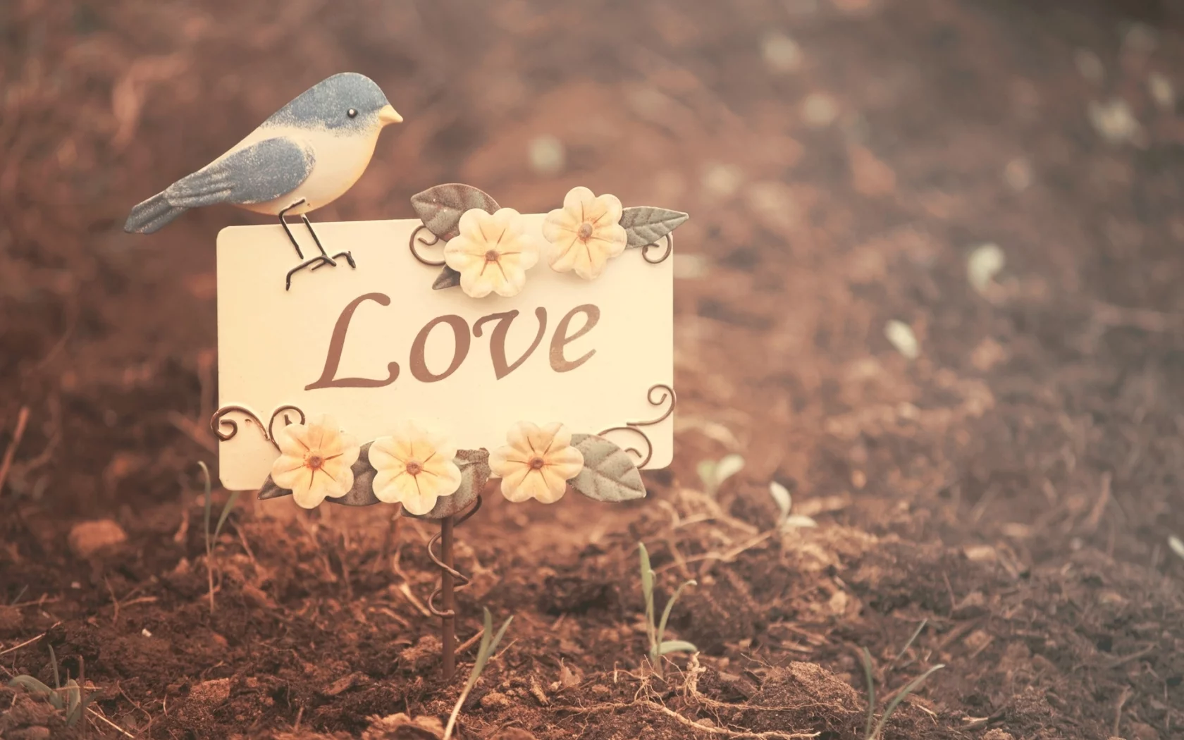 настроения, лююовь, природа, листья, love, птичка, птица