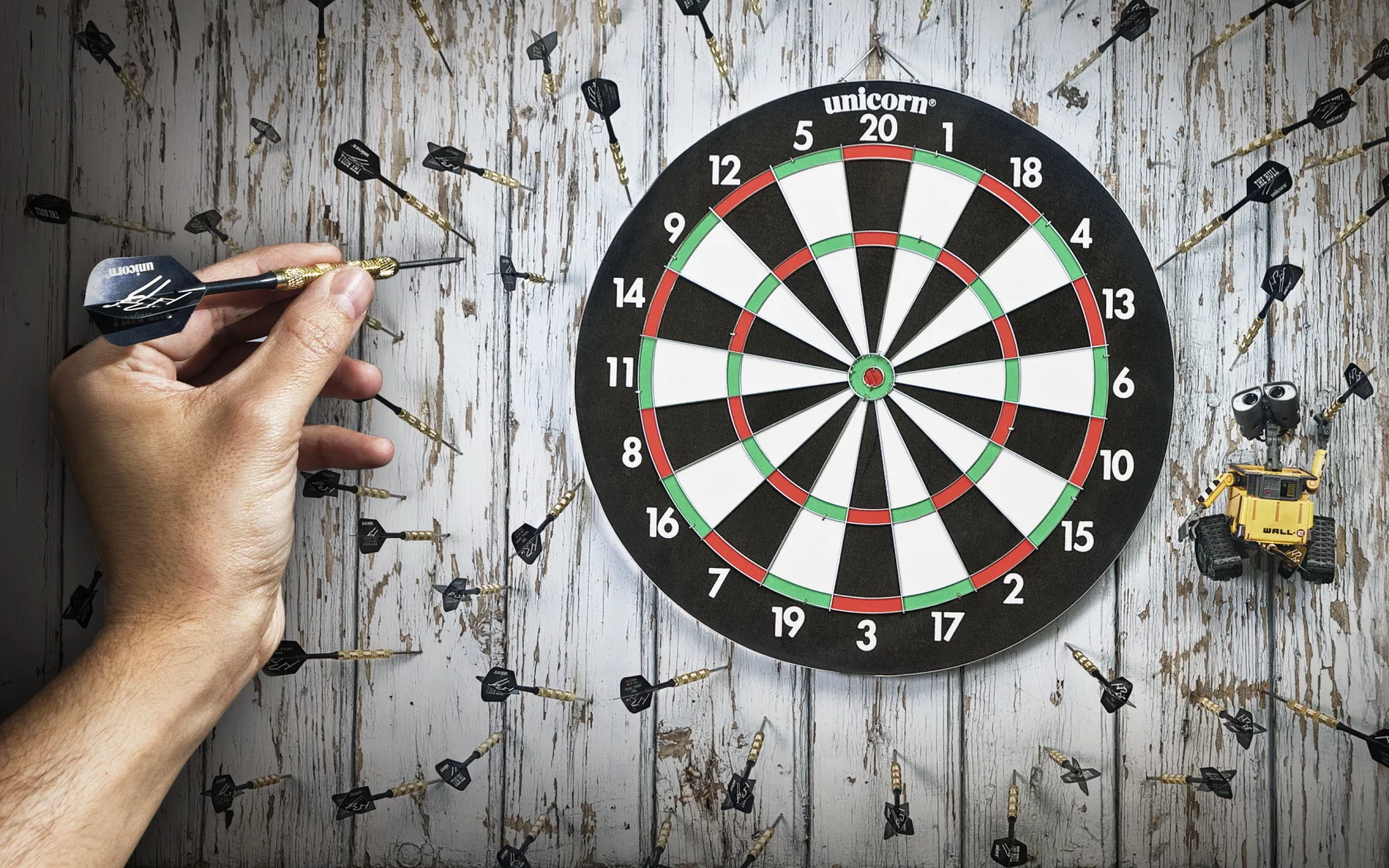 darts, спорт, чемпион