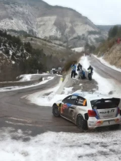 машина, volkswagen, ралли, rally, белый, wrc, спорт, авто, red bull, polo