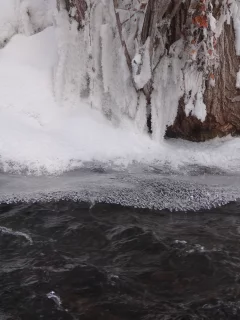 ручей, замерзает, лед, берег, снег, деревья
