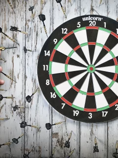 darts, спорт, чемпион