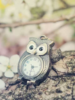 nature, devianart, oil, time of lovely flowers, silvermoonswan